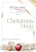 VIP Executive Santa Iria Hotel