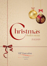 VIP Executive Zurique Hotel