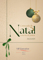 VIP Executive Art’s Hotel