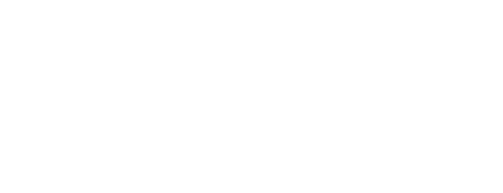 VIP Hotels 